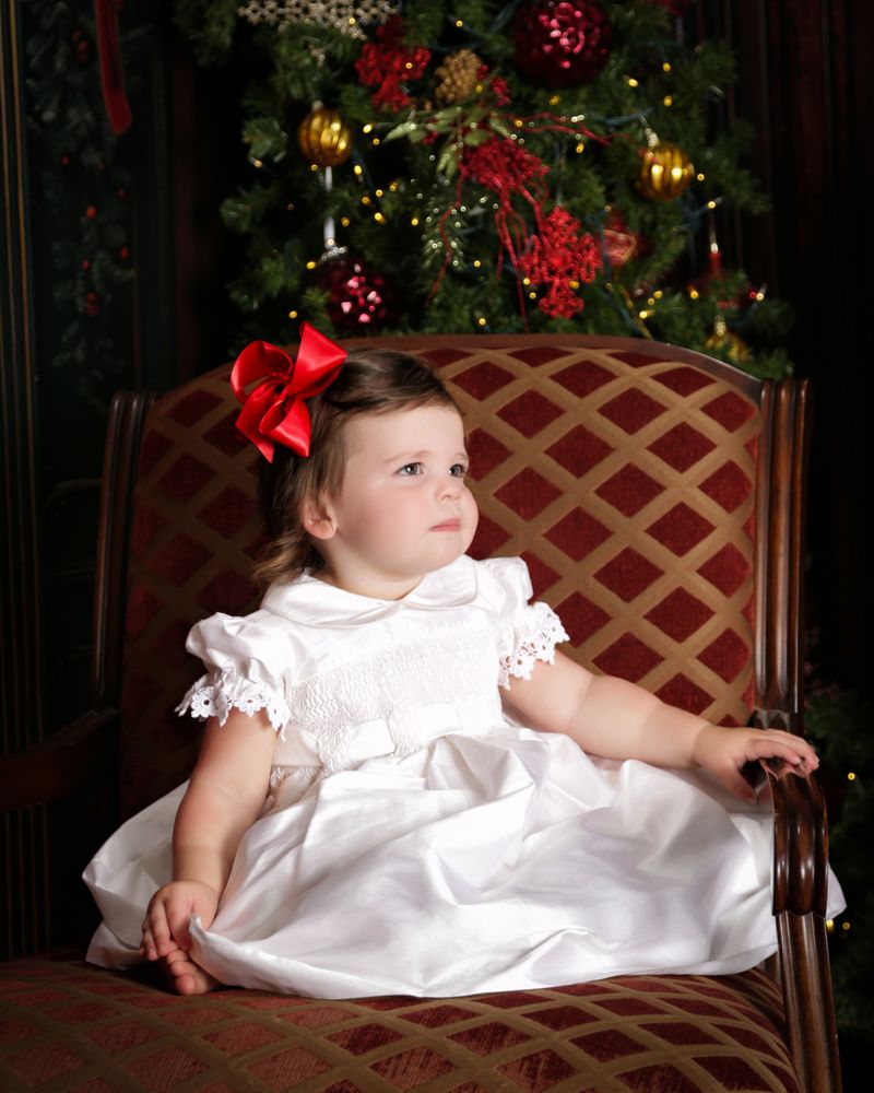 MaryBella Smocked Silk Dress