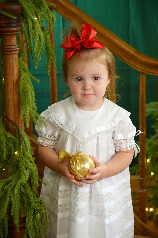 Strasburg Children Lace Flower Girl Dress